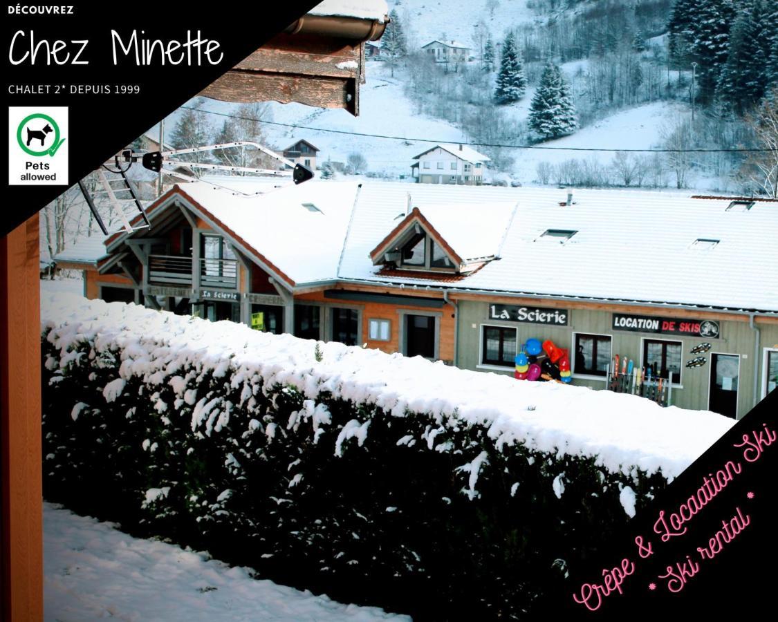 Le "Chalet De Minette" 2 Etoiles La Bresse Eksteriør billede