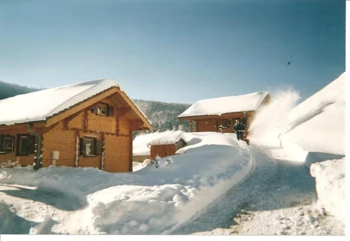 Le "Chalet De Minette" 2 Etoiles La Bresse Eksteriør billede