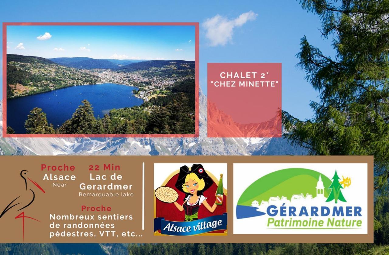 Le "Chalet De Minette" 2 Etoiles La Bresse Eksteriør billede