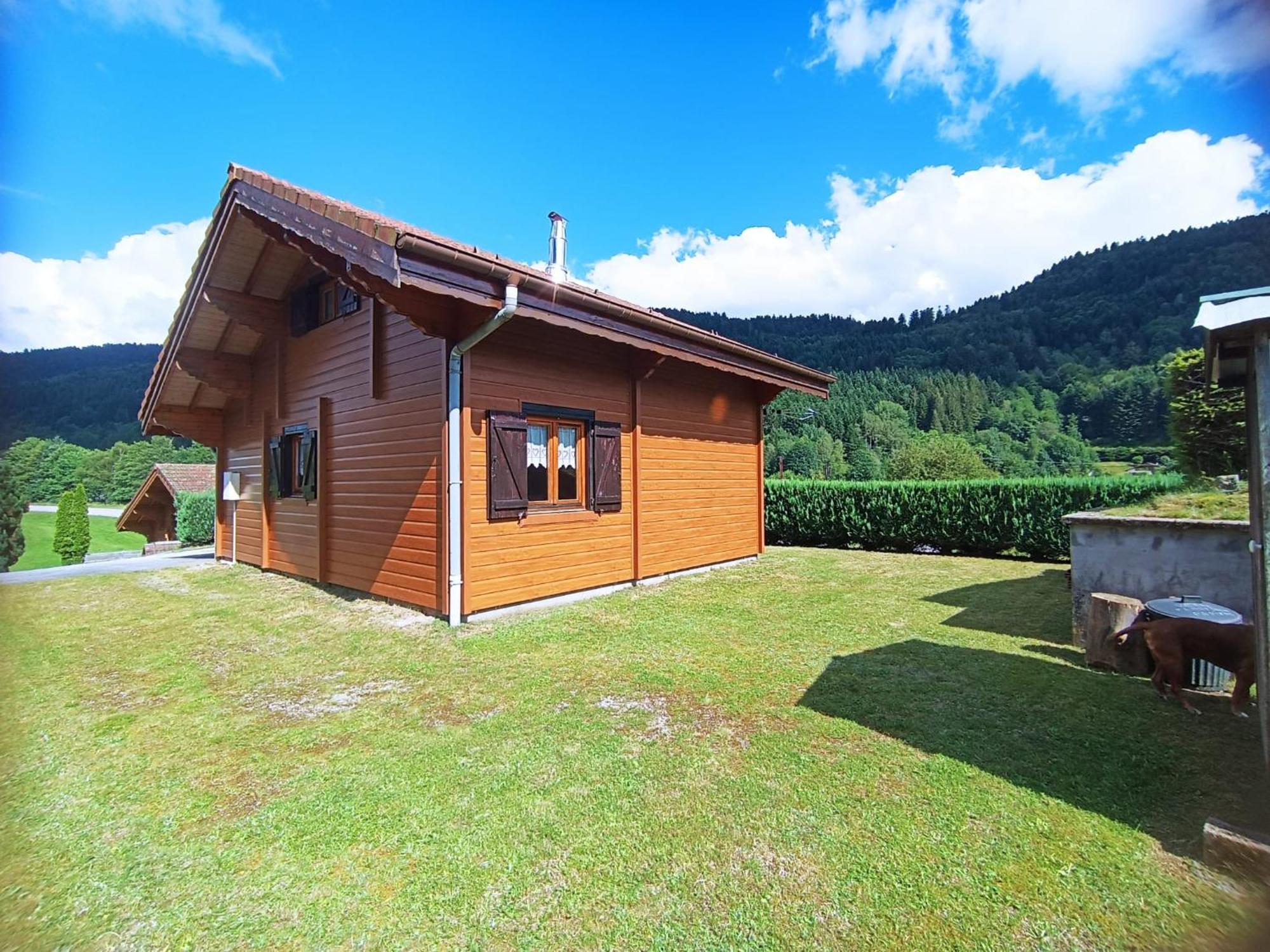 Le "Chalet De Minette" 2 Etoiles La Bresse Eksteriør billede
