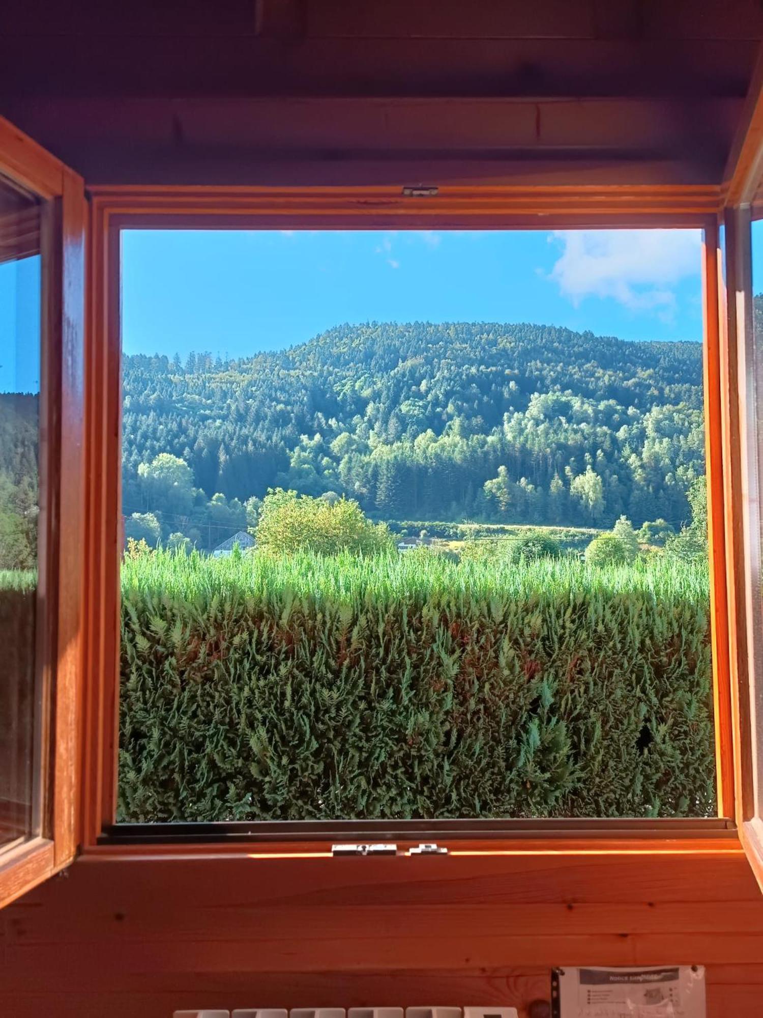 Le "Chalet De Minette" 2 Etoiles La Bresse Eksteriør billede
